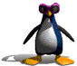 3d-penguin
