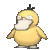angrypsyduck