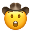 astonished_cowboy