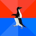 awkward-penguin-switch