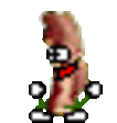 bacon_dance