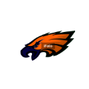 beaglesnfleaglesandbearscombined