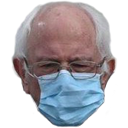 bernie_mask