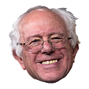 bernie_q