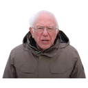 bernieq