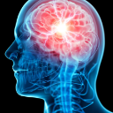 big brain expanding mind