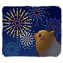 birbfireworksq