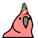 birthday parrot