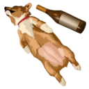 bottle-dog-e