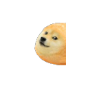 bun_doge