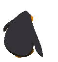 c_penguin4q