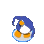 c_penguin5q