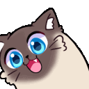 cat_blue_eyes_happyq