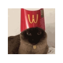 catmcdonalds
