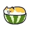 catmelon0