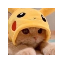 catpikachuq