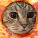 catpizza-e