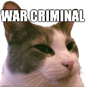 catwarcrimesq