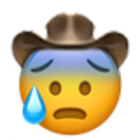 cold_sweat_cowboy