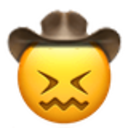 confounded_cowboy