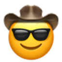 cool_cowboy