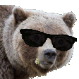coolbearq