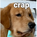 crapdogq