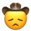 disappointed_cowboy