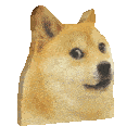 doge_alert