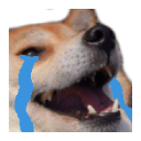 doge_cry