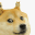 doge-fractal