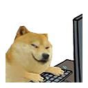 doge_hacker