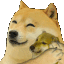 doge_hug