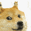 doge-inception