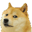 doge_leaving