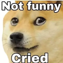 doge_not_funnyq
