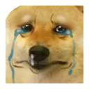 doge_sad