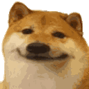 doge-smile