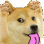 doge_tease