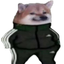 doge_tracksuit_smug
