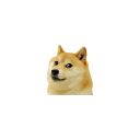 doge