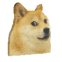 doge3d