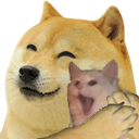dogecatq
