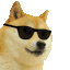 dripdogefunny