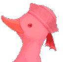 duck_pink_bucket_hat