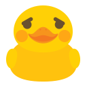 duck_shy