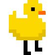 duck