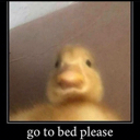 duckbedq