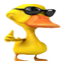 duckglasses_q