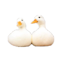 duckstwo0